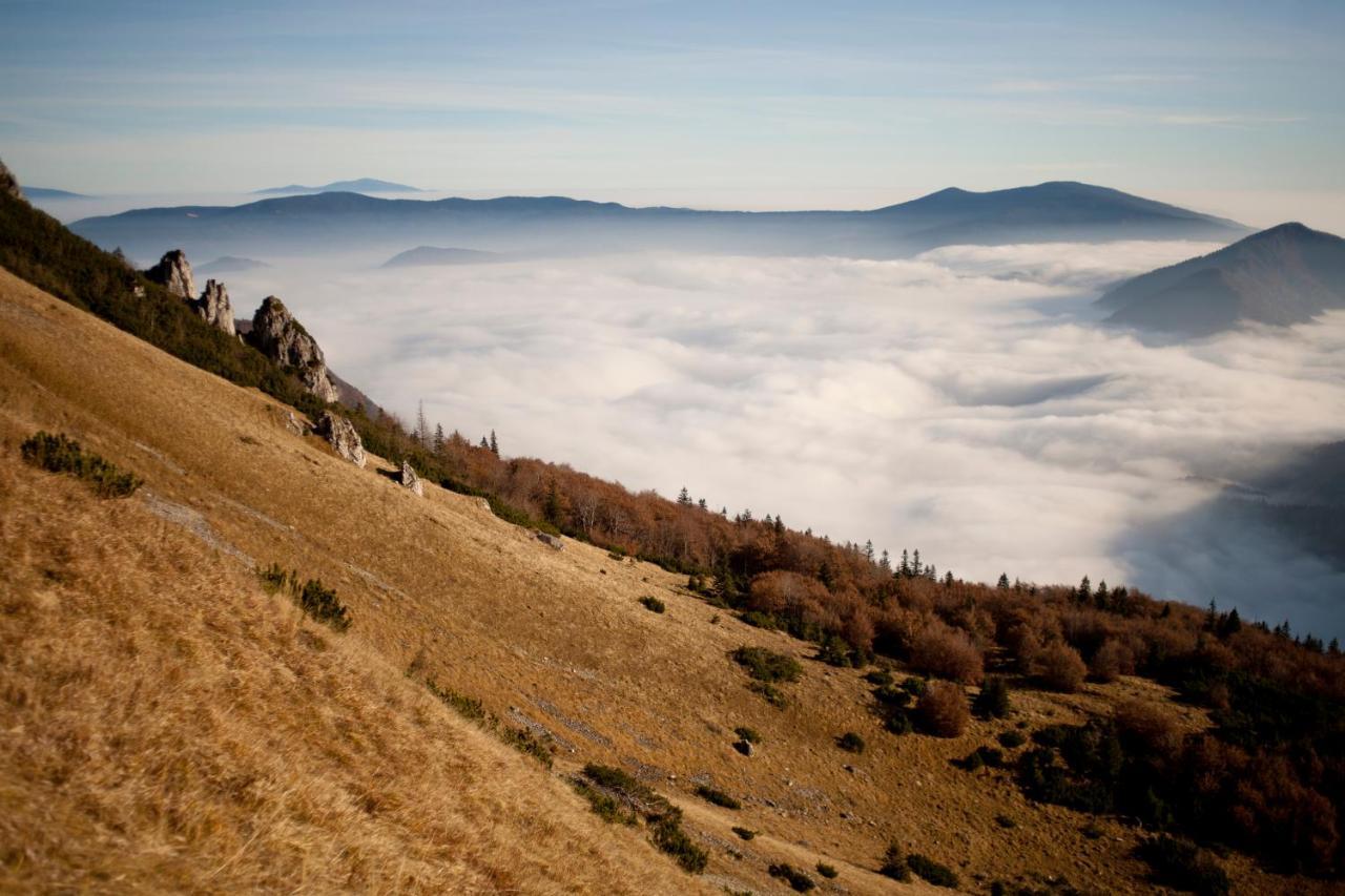 Salas Syrex Zazriva Bagian luar foto