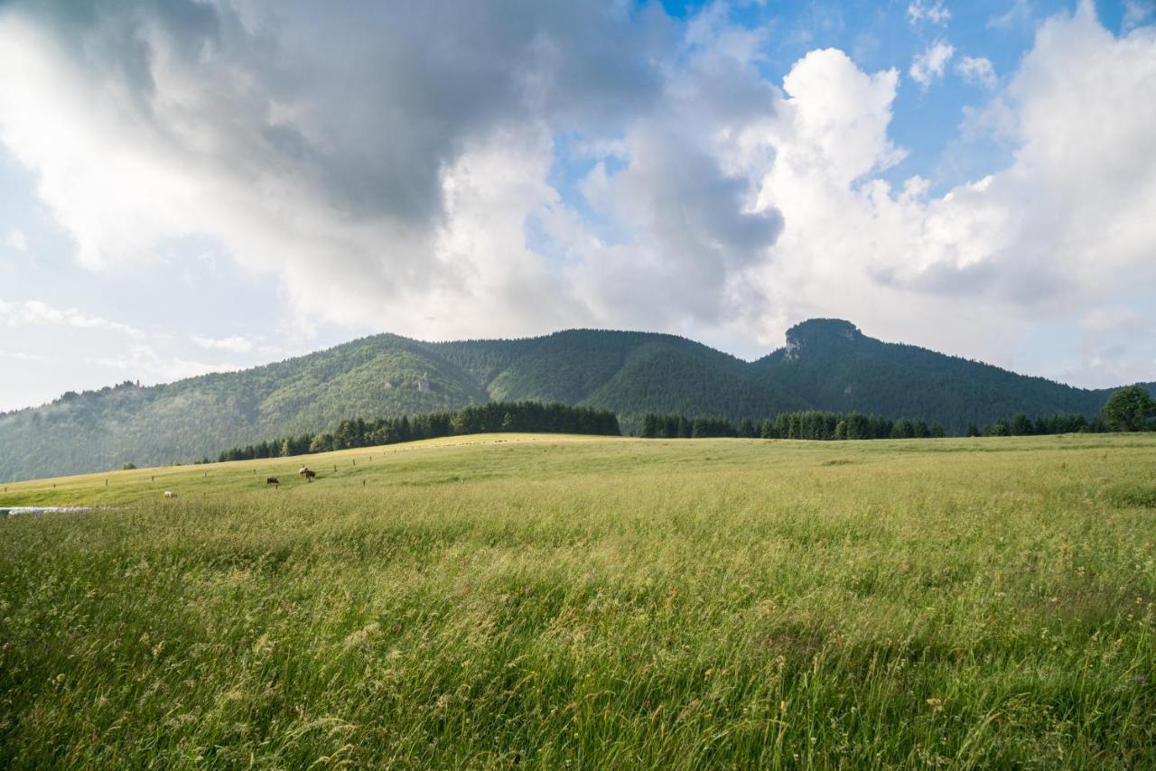 Salas Syrex Zazriva Bagian luar foto
