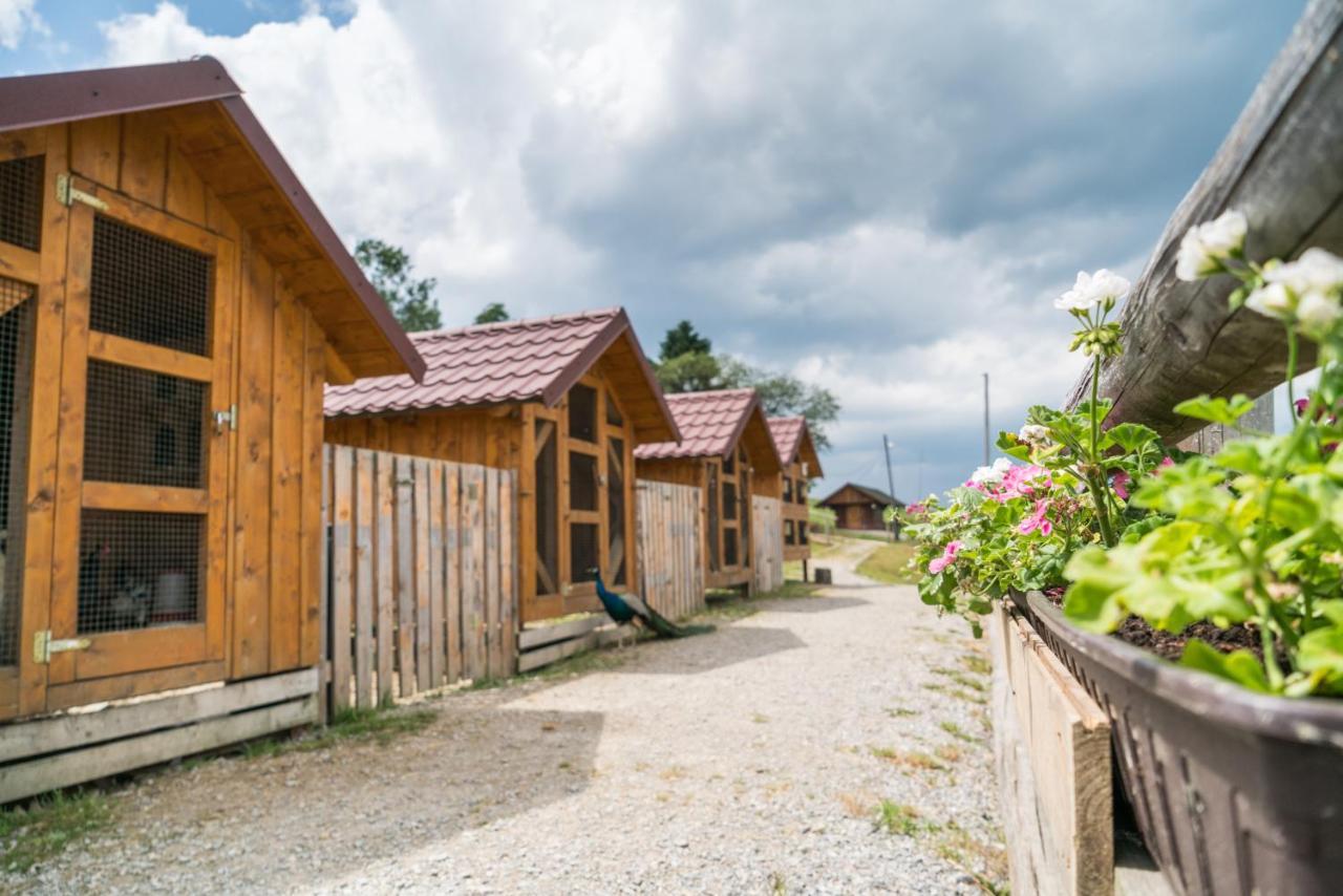 Salas Syrex Zazriva Bagian luar foto